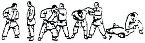 Valencia (Xàtiva) Tomiki Aikido - JUDO GOSHIN JUTSU