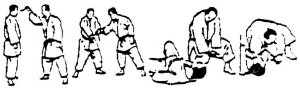 Valencia (Xàtiva) Tomiki Aikido - JUDO GOSHIN JUTSU