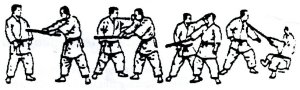 Valencia (Xàtiva) Tomiki Aikido - JUDO GOSHIN JUTSU