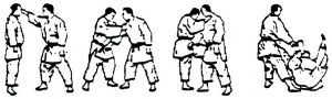 Valencia (Xàtiva) Tomiki Aikido - JUDO GOSHIN JUTSU