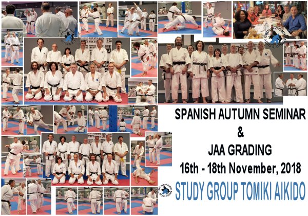 STUDY GROUP TOMIKI AIKIDO SEMINAR - AUTUMN 2018