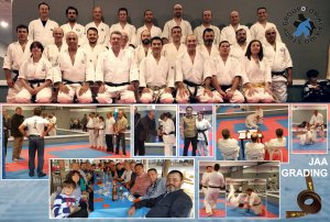 4th SPANISH STUDY GROUP TOMIKI AIKIDO AUTUMN SEMINAR 2016