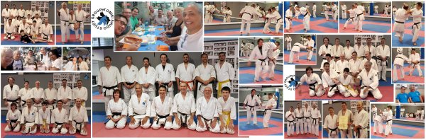 INOUE SENSEI - SEMINAR IN SPAIN 8th-10th June, 2018