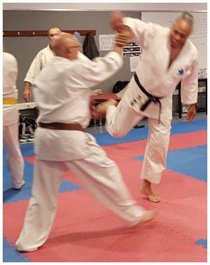 INOUE SENSEI - SEMINAR IN SPAIN 8th-10th June, 2018