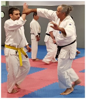 INOUE SENSEI - SEMINAR IN SPAIN 8th-10th June, 2018