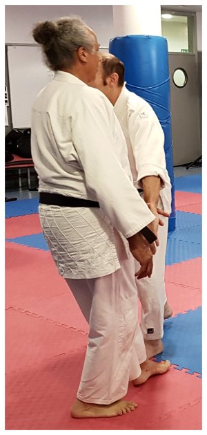 INOUE SENSEI - SEMINAR IN SPAIN 8th-10th June, 2018