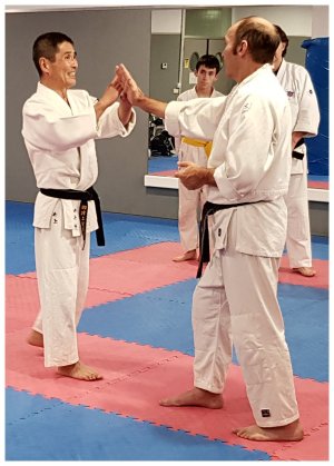 INOUE SENSEI - SEMINAR IN SPAIN 8th-10th June, 2018