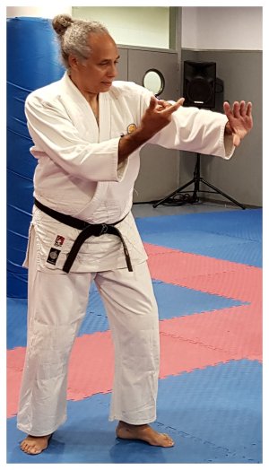 INOUE SENSEI - SEMINAR IN SPAIN 8th-10th June, 2018