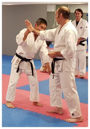 INOUE SENSEI - SEMINAR IN SPAIN 8th-10th June, 2018