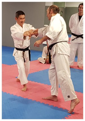 INOUE SENSEI - SEMINAR IN SPAIN 8th-10th June, 2018