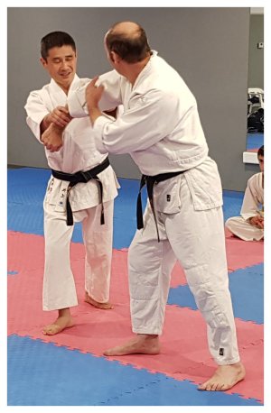 INOUE SENSEI - SEMINAR IN SPAIN 8th-10th June, 2018