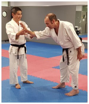 INOUE SENSEI - SEMINAR IN SPAIN 8th-10th June, 2018