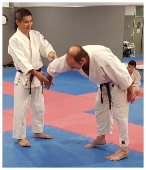 INOUE SENSEI - SEMINAR IN SPAIN 8th-10th June, 2018