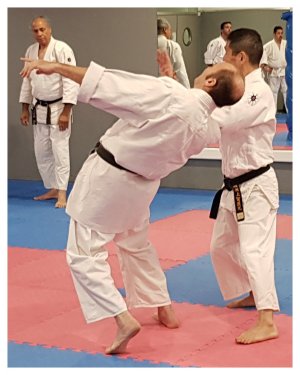 INOUE SENSEI - SEMINAR IN SPAIN 8th-10th June, 2018