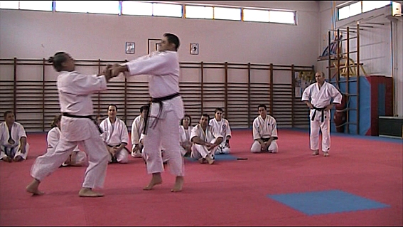 Valencia (Xtiva) Tomiki Aikido - Sotai Undo, Application