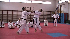 Valencia (Xtiva) Tomiki Aikido - Sotai Undo, Application