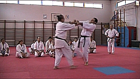 Valencia (Xtiva) Tomiki Aikido - Sotai Undo, Application