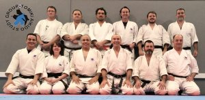 Valencia (Xtiva) Tomiki Aikido Winter Seminar 2017