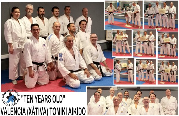 Valencia (Xtiva) Tomiki Aikido - STUDY GROUP
